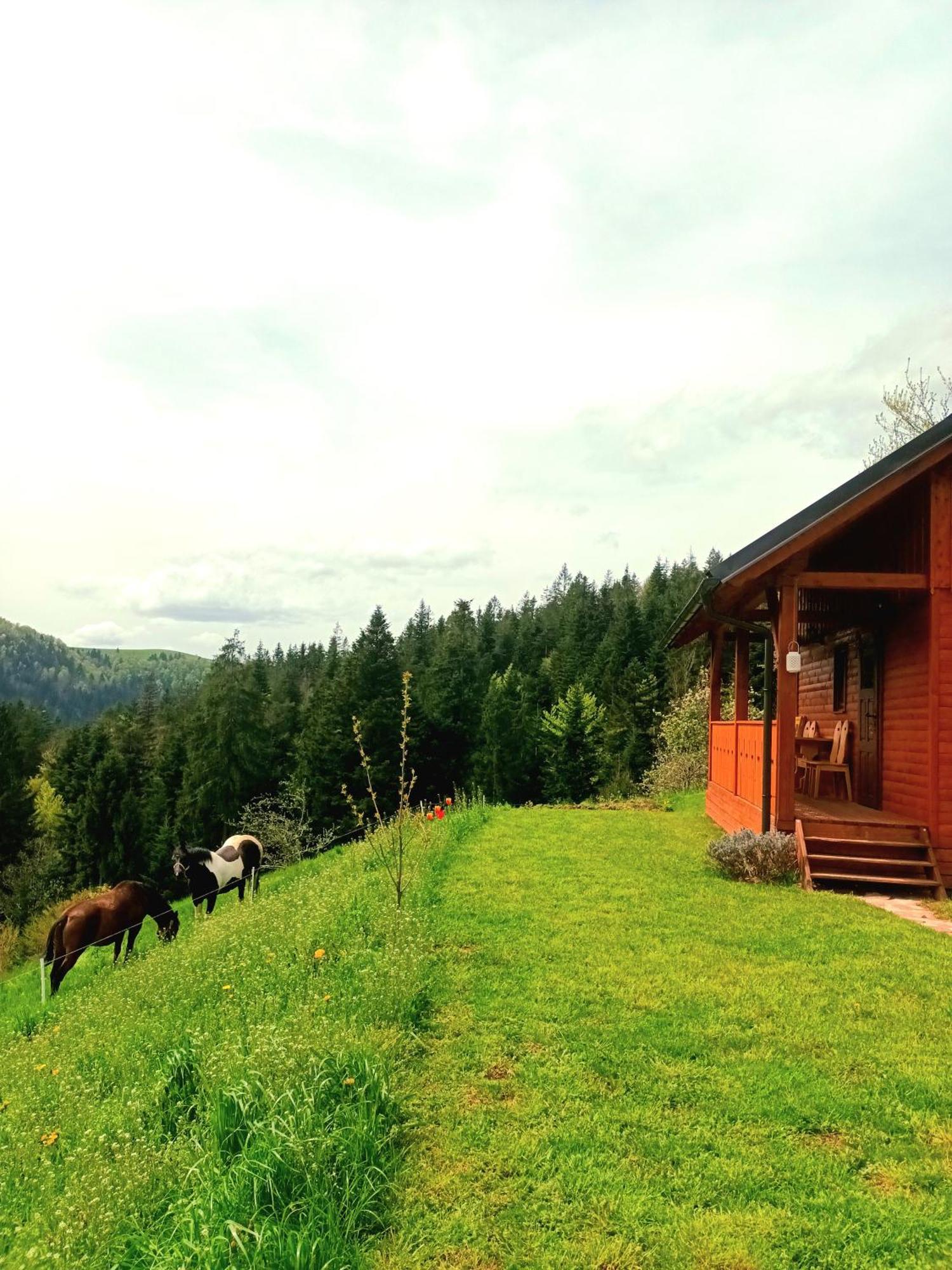 Tiny House Ziri Exterior foto